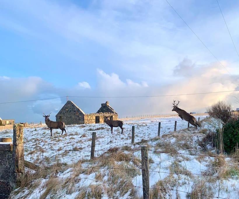 Nᴼ 21 Beautiful Cosy Modern Traditional Cottage Lionel Екстер'єр фото